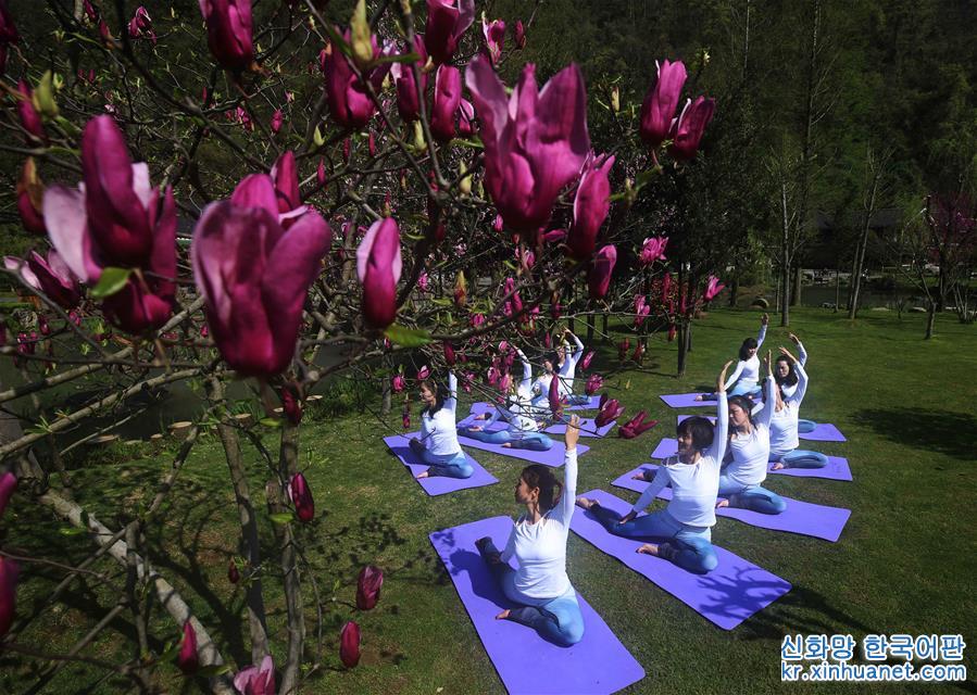 #（新華視界）（4）三月春色美 瑜伽秀身姿