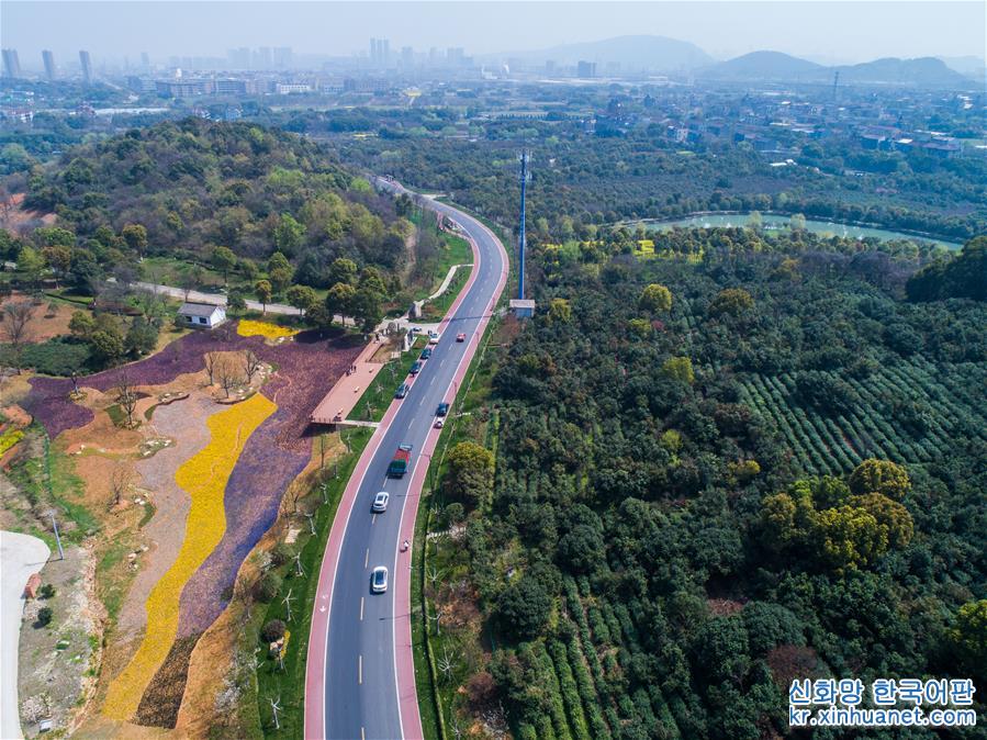 （新華視界）（3）“美麗公路”助推美麗鄉村建設