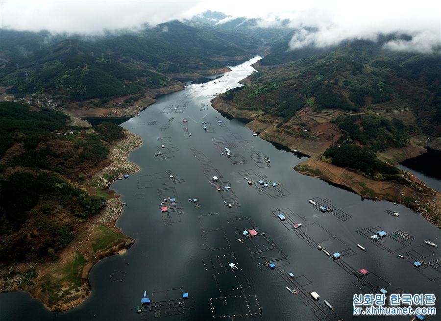 （美丽中国）（6）广西隆林：水上“田园”
