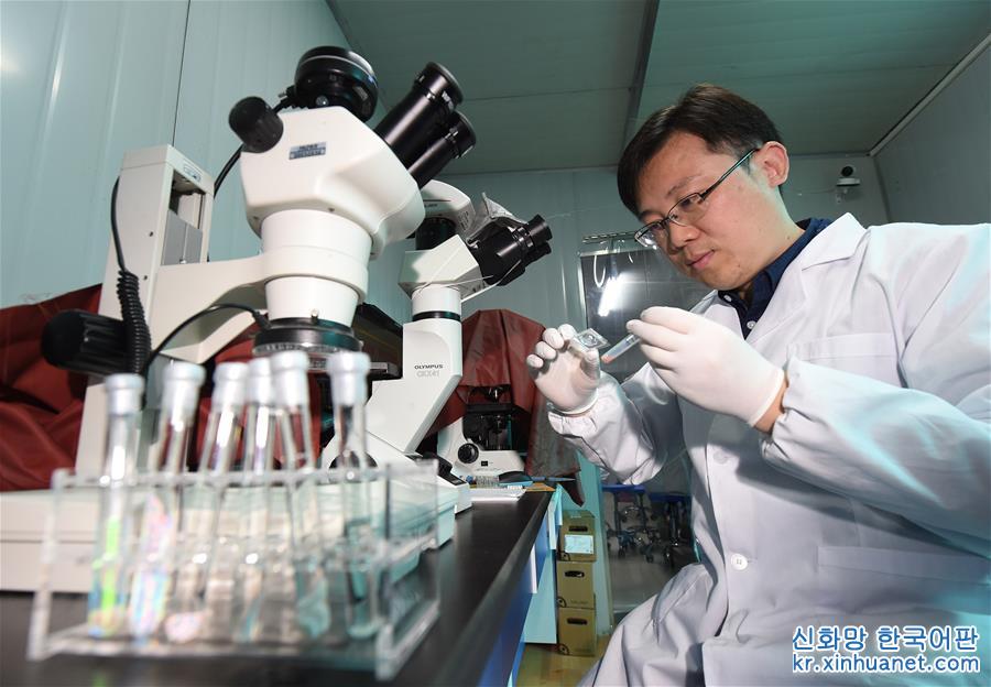 （图文互动）（1）中国科学家开发出“可视化”的“心脏芯片”