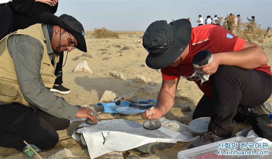 （国际）（2）中沙考古队在沙特古港口遗址发现中国瓷片