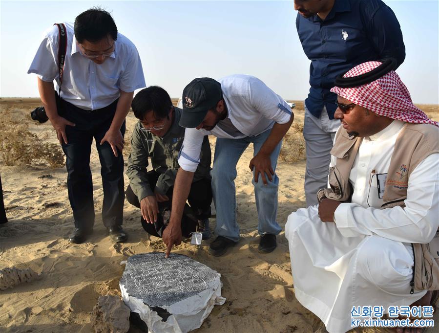 （国际）（5）中沙考古队在沙特古港口遗址发现中国瓷片