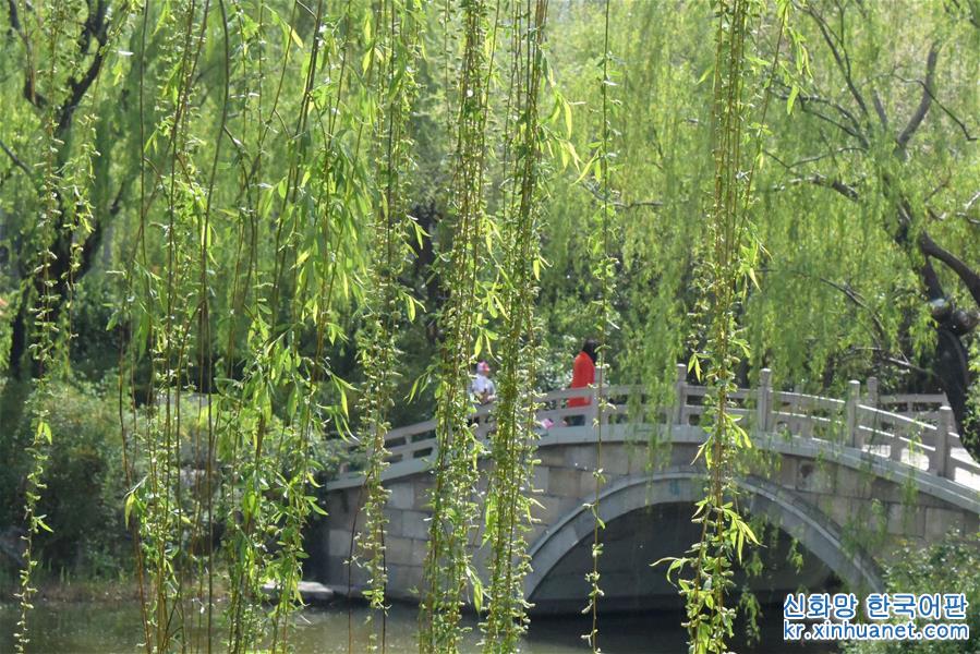 （环境）（6）济南大明湖：春光明媚柳色新