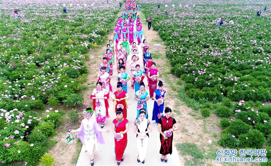#（社会）（5）安徽亳州旗袍文化节开幕