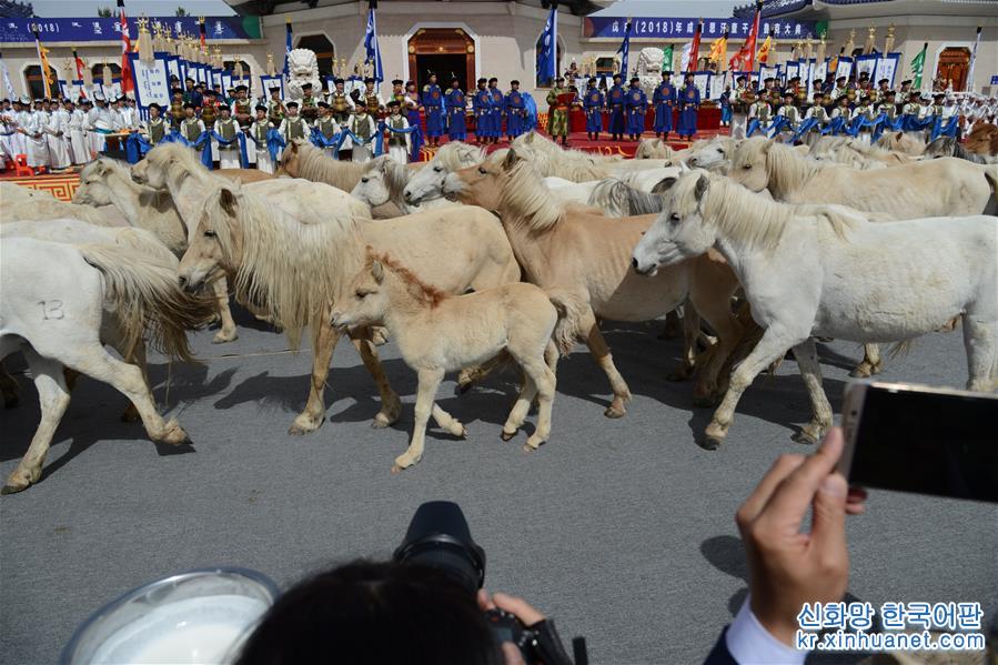 （文化）（6）内蒙古成吉思汗陵举行春季大祭