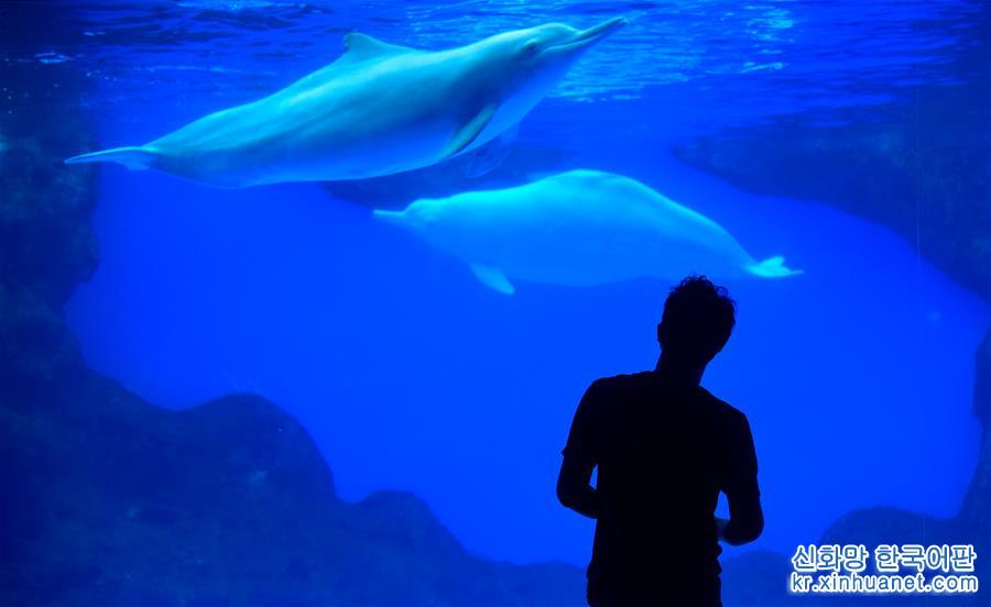（图文互动）（4）全国首届“中华白海豚保护宣传日”活动在珠海启动