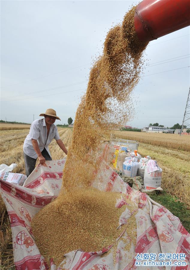 #（经济）（2）全国大规模小麦跨区机收全面展开 