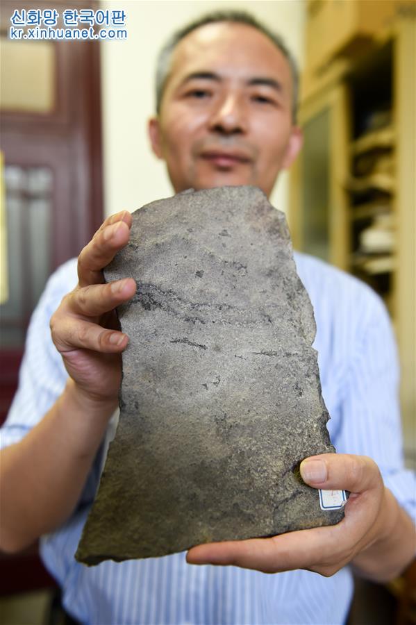 （图文互动）（2）地球上最古老的动物足迹化石在中国发现