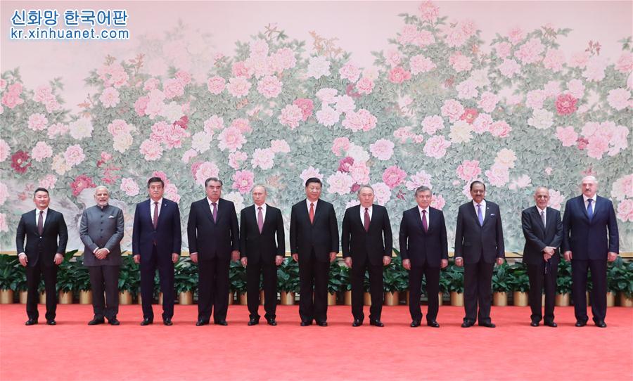 （上合青岛峰会）（2）习近平欢迎出席上海合作组织青岛峰会的外方领导人