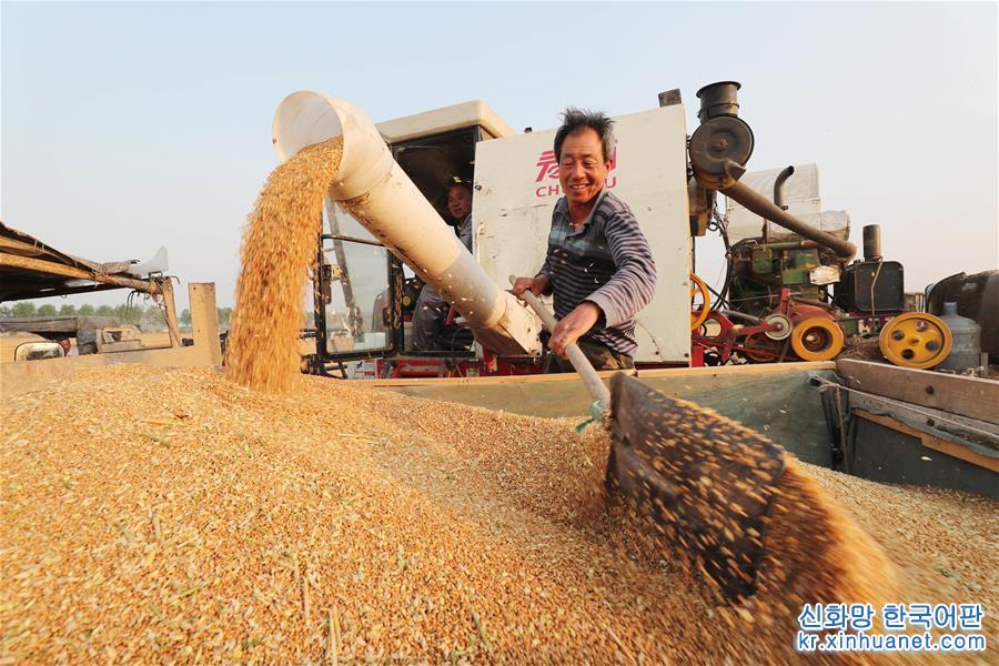 #（经济）（2）全国小麦收获进度过八成