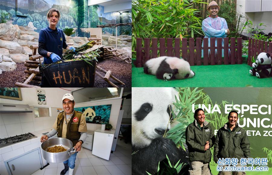 （国际·编辑连线）（1）我们都爱大熊猫