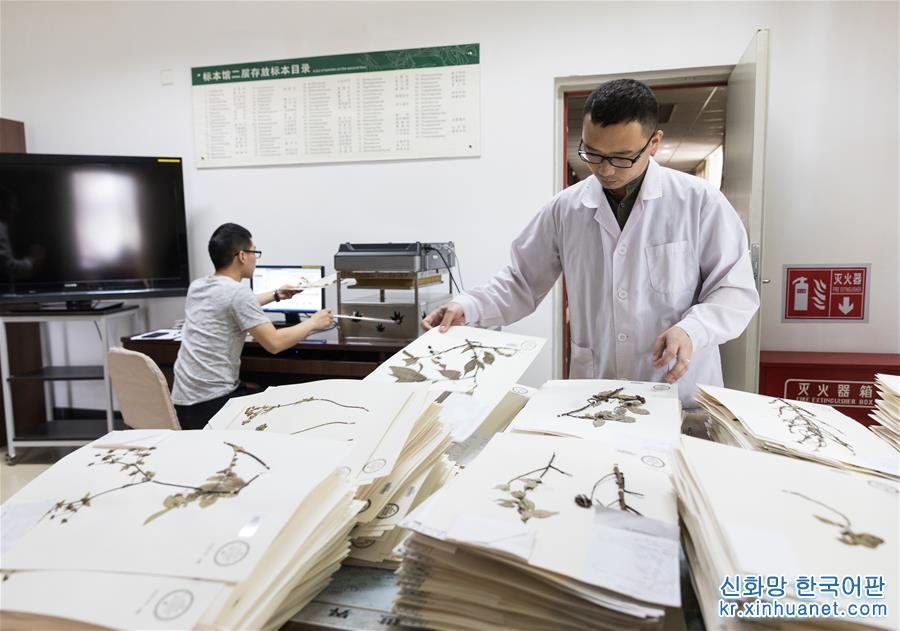 （科技）（1）中國數字植物標本館標本數量已超600萬