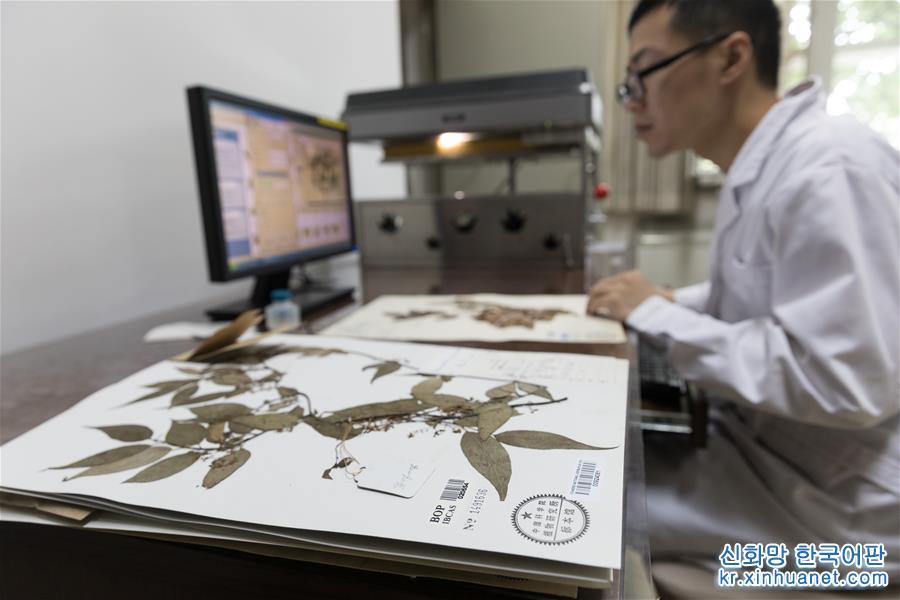 （科技）（3）中国数字植物标本馆标本数量已超600万