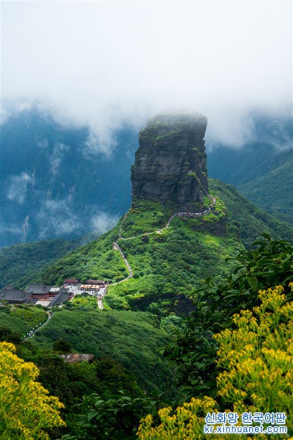 （新华全媒头条·图文互动）（2）云梯万步天路远——中国梵净山何以列入世界自然遗产地？