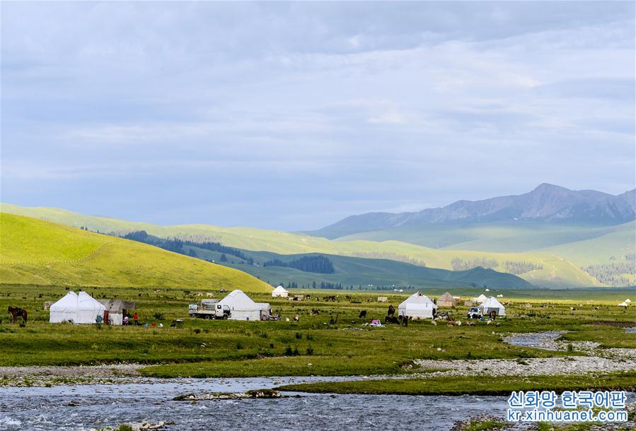 （社会）（1）新疆：“空中草原”迎来旅游旺季