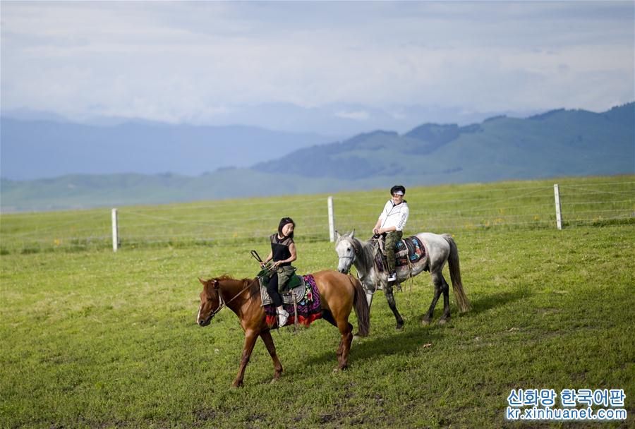 （社会）（4）新疆：“空中草原”迎来旅游旺季