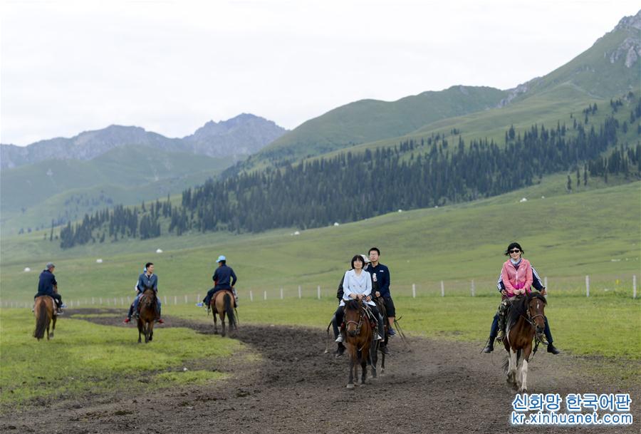 （社会）（7）新疆：“空中草原”迎来旅游旺季