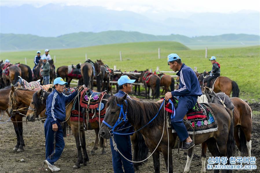 （经济）（3）新疆：马背上的“生态致富路”