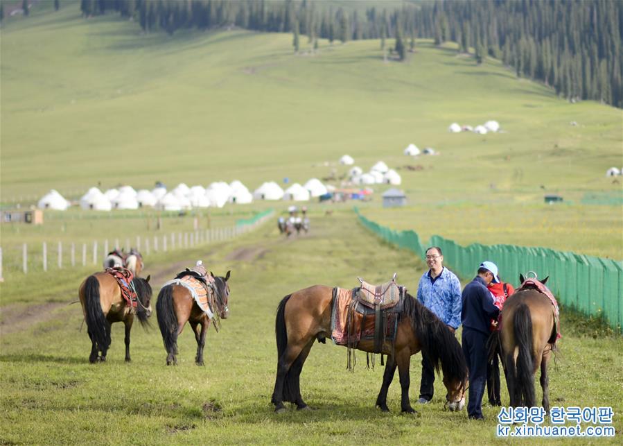 （经济）（4）新疆：马背上的“生态致富路”