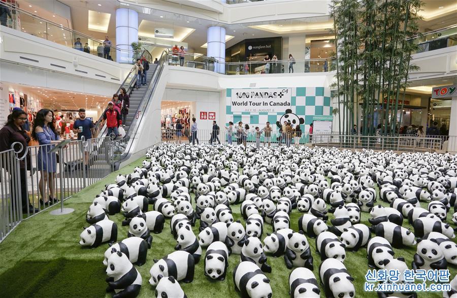（新华视界）（2）1600只纸制熊猫亮相温哥华 