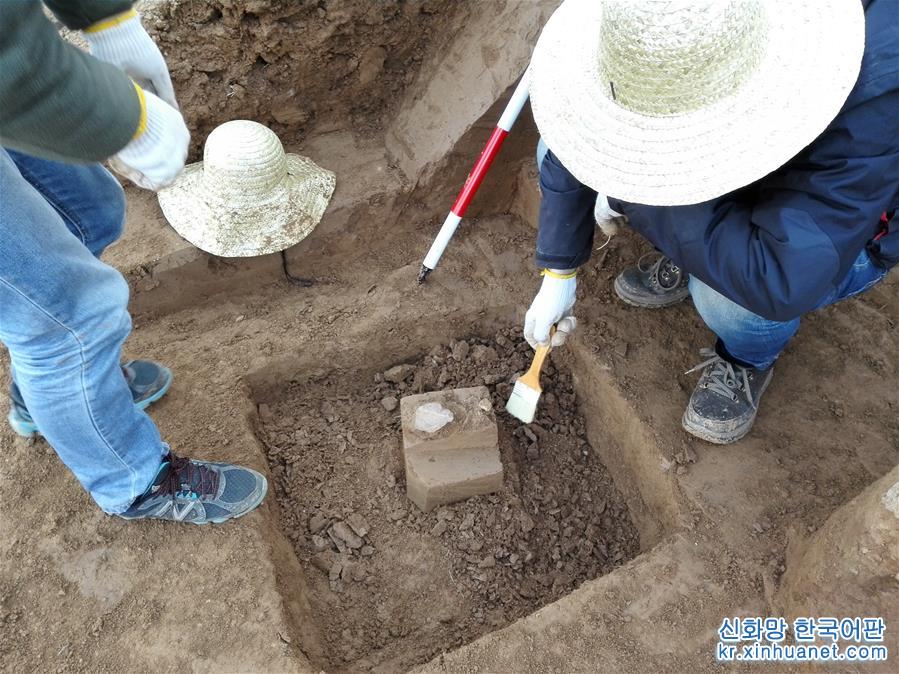 （图文互动）（1）陕西蓝田发现约212万年前古人类活动遗址