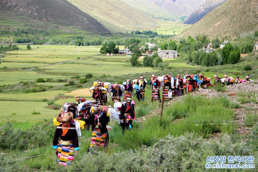 （社会）（2）西藏农民欢度“望果节”祈盼丰收