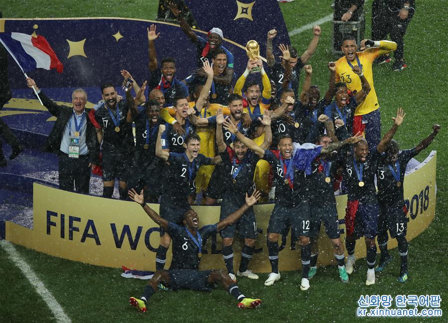 （世界杯·夺冠时刻）（83）足球——法国队20年后再捧杯
