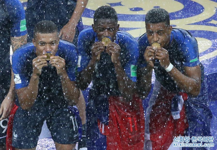 （世界杯·夺冠时刻）（85）足球——法国队20年后再捧杯