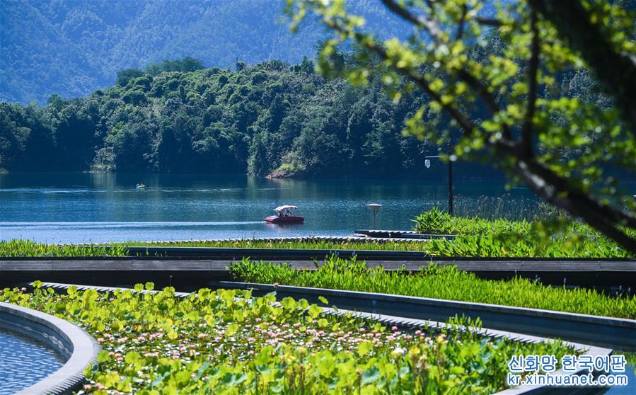 （美麗中國）（10）綠色産業發展守護千島湖“一湖碧水”