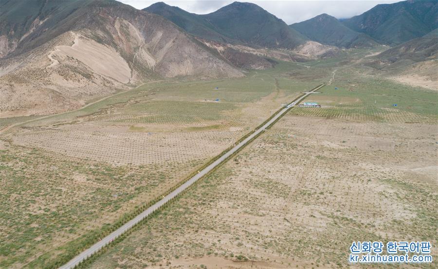 （环境）（3）西藏山南多举措推进防沙治沙工程