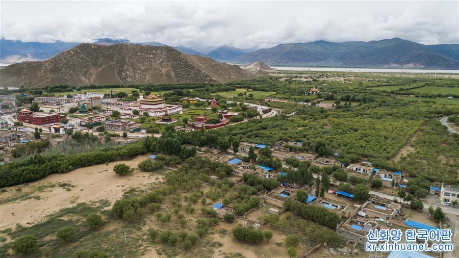（环境）（5）西藏山南多举措推进防沙治沙工程