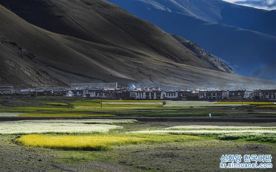 （美丽中国）（8）西藏：无限风光在高原