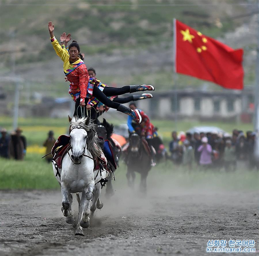 （XHDW）（2）西藏马术队把“马文化”送乡村