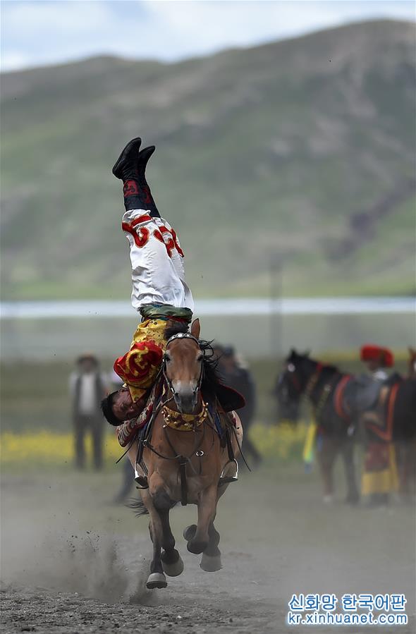 （XHDW）（3）西藏马术队把“马文化”送乡村