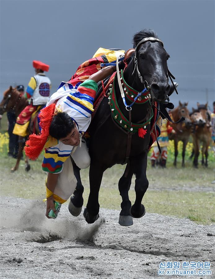 （XHDW）（4）西藏马术队把“马文化”送乡村