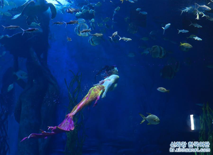 #（社會）（1）夢幻“美人魚” 海底享清涼