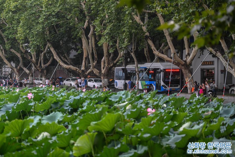 （社会）（4）杭州：2000余辆公交车已实现“零排放、零污染”