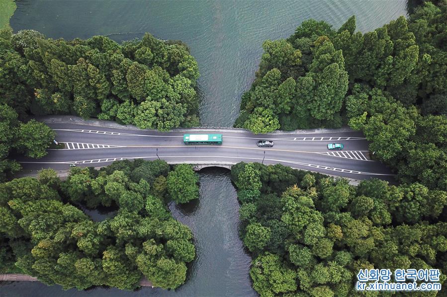 （社会）（6）杭州：2000余辆公交车已实现“零排放、零污染”