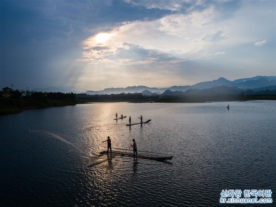 （美丽中国）（1）千岛湖开渔展现“水清鱼欢”美丽生态