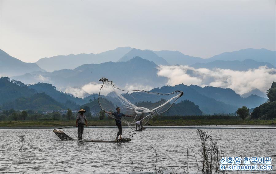 （美丽中国）（3）千岛湖开渔展现“水清鱼欢”美丽生态