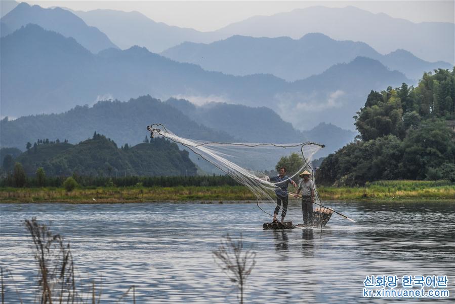 （美丽中国）（2）千岛湖开渔展现“水清鱼欢”美丽生态