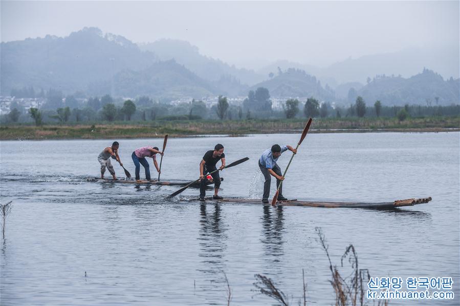 （美丽中国）（7）千岛湖开渔展现“水清鱼欢”美丽生态