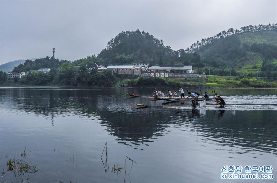 （新华视界）（5）千岛湖开渔展现“水清鱼欢”美丽生态