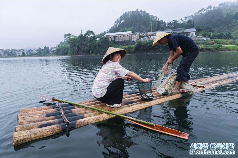 （新华视界）（3）千岛湖开渔展现“水清鱼欢”美丽生态