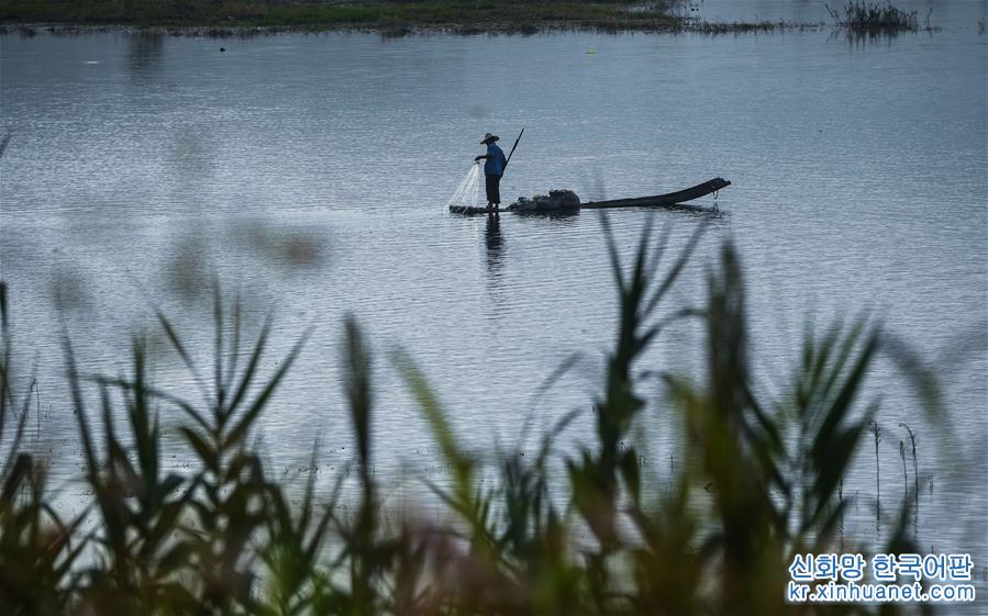 （新华视界）（2）千岛湖开渔展现“水清鱼欢”美丽生态