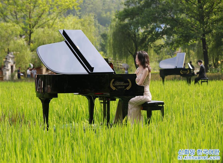 #（文化）（2）湖南张家界：峰林田园飘琴韵