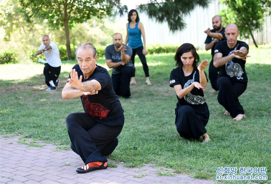 （国际·图文互动）（1）太极拳在土耳其大城市渐受欢迎