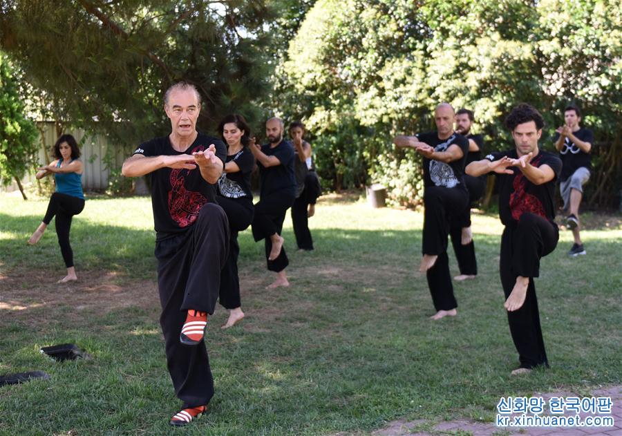 （国际·图文互动）（3）太极拳在土耳其大城市渐受欢迎