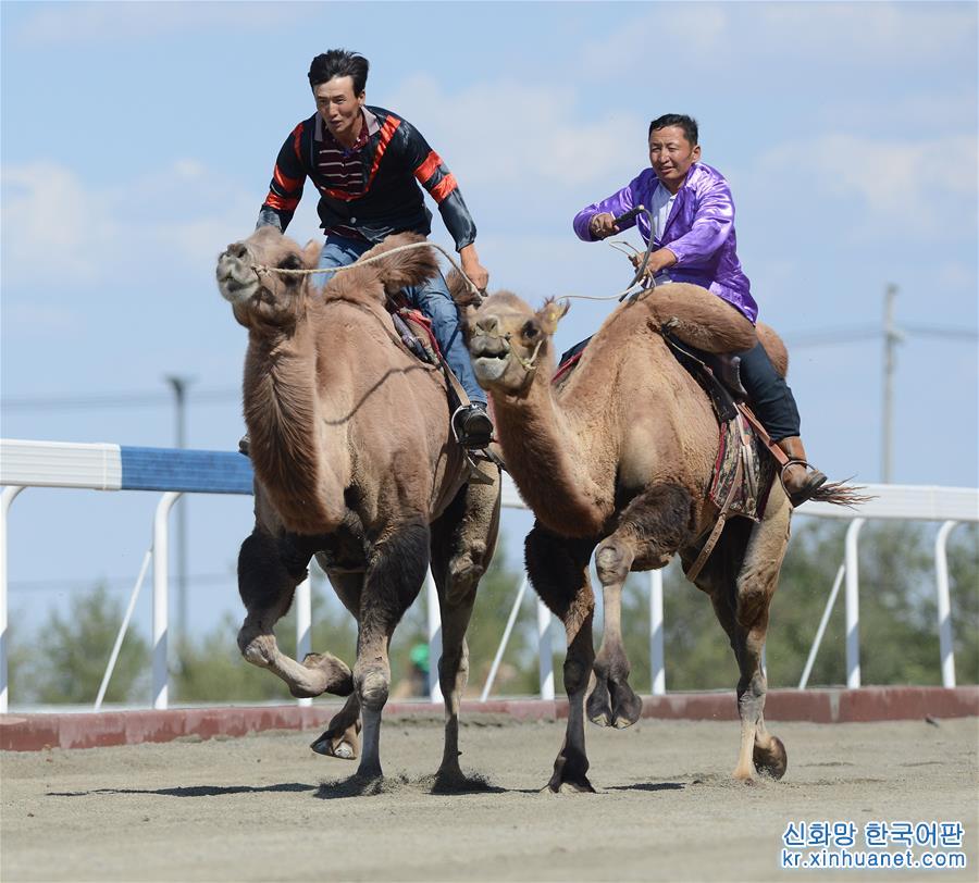 （经济）（3）新疆木垒：“文化+旅游+体育”助推旅游业发展