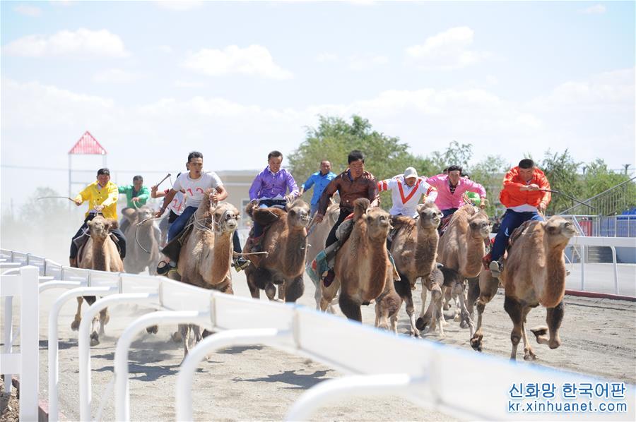 （经济）（5）新疆木垒：“文化+旅游+体育”助推旅游业发展